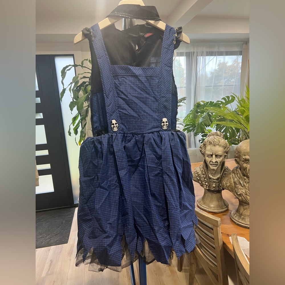 Girls Costume Dress MEDIUM (10-12 years)